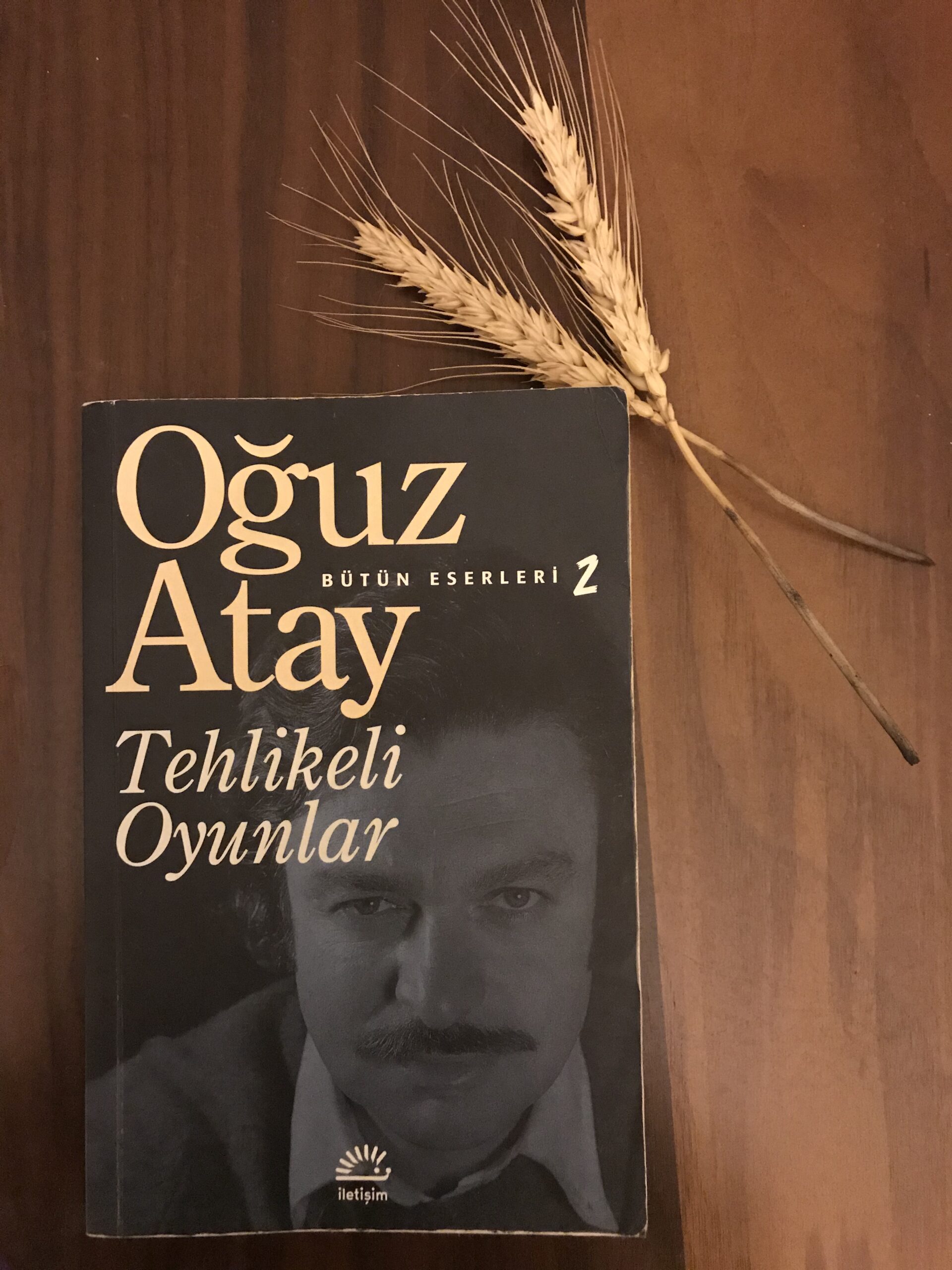 Tehlikeli Oyunlar